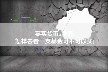 嘉实货币a净值(
怎样去看一支基金可不可以买)