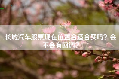 长城汽车股票现在位置合适合买吗？会不会有回调？