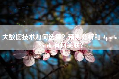 大数据技术如何选择？预测分析和 Apache Spark 有何关联？