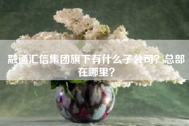 融通汇信集团旗下有什么子公司？总部在哪里？