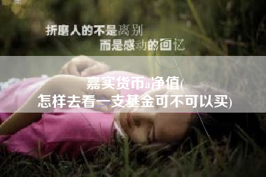 嘉实货币a净值(
怎样去看一支基金可不可以买)