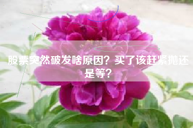 股票突然破发啥原因？买了该赶紧抛还是等？