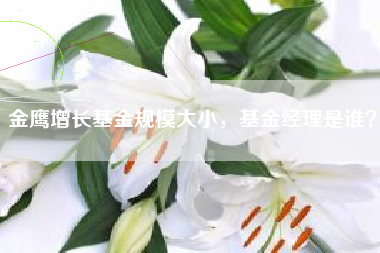 金鹰增长基金规模大小，基金经理是谁？