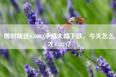 博时精选050004净值大幅下跌，今天怎么才1.3824？