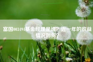 富国003494基金经理是谁？近一年的收益情况如何？