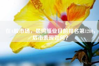 在A股市场，晨鸣纸业目前排名第1280，后市表现如何？
