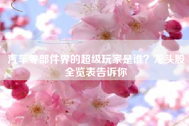 汽车零部件界的超级玩家是谁？龙头股全览表告诉你