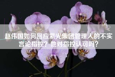 赵伟国如何回应紫光集团管理人的不实言论指控？他对指控认可吗？