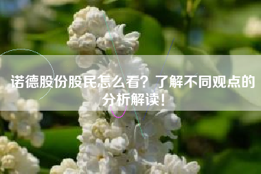 诺德股份股民怎么看？了解不同观点的分析解读！