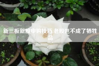 新三板新股申购技巧,老股岂不成了牺牲品
