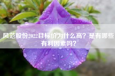 风范股份2022目标价为什么高？是有哪些有利因素吗？