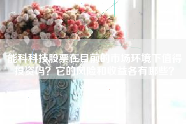 能科科技股票在目前的市场环境下值得投资吗？它的风险和收益各有哪些？
