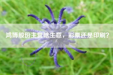 鸿博股份主营啥生意，彩票还是印刷？