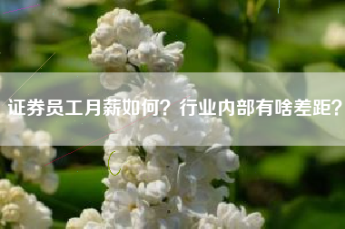 证券员工月薪如何？行业内部有啥差距？