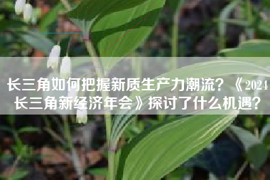 长三角如何把握新质生产力潮流？《2024长三角新经济年会》探讨了什么机遇？