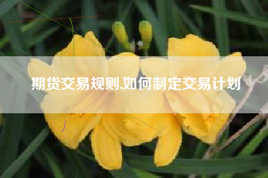 期货交易规则,如何制定交易计划