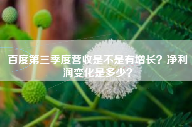 百度第三季度营收是不是有增长？净利润变化是多少？