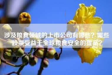 涉及粮食领域的上市公司有哪些？哪些股票受益于全球粮食安全的提高？