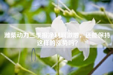 潍柴动力三季报净利润激增，还能保持这样的涨势吗？