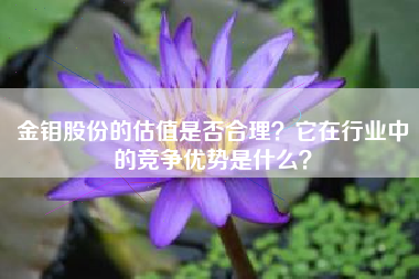 金钼股份的估值是否合理？它在行业中的竞争优势是什么？
