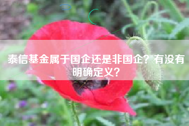 泰信基金属于国企还是非国企？有没有明确定义？