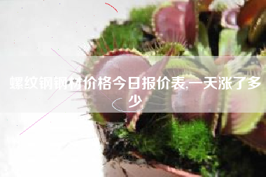 螺纹钢钢材价格今日报价表,一天涨了多少