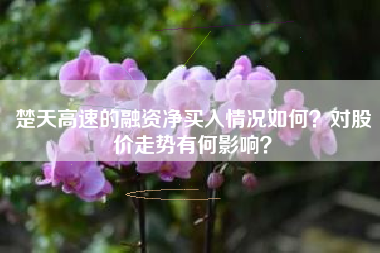 楚天高速的融资净买入情况如何？对股价走势有何影响？