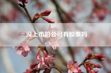 没上市的公司有股票吗