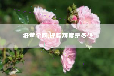 纸黄金网,提款额度是多少