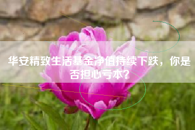 华安精致生活基金净值持续下跌，你是否担心亏本？