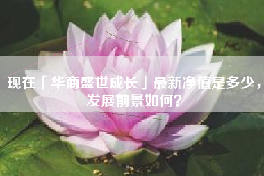 现在「华商盛世成长」最新净值是多少，发展前景如何？