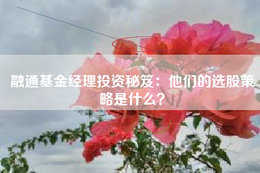 融通基金经理投资秘笈：他们的选股策略是什么？