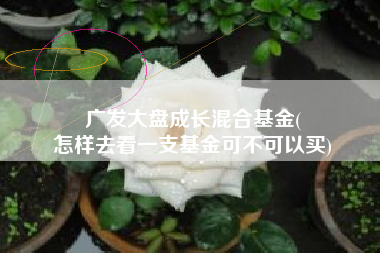 广发大盘成长混合基金(
怎样去看一支基金可不可以买) 广发大盘成长混合基金(
怎样去看一支基金可不可以买)