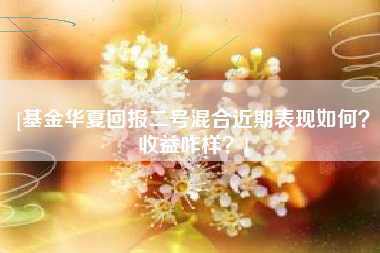 [基金华夏回报二号混合近期表现如何？收益咋样？]