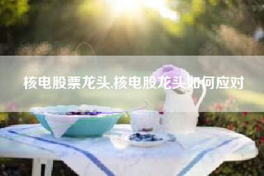 核电股票龙头,核电股龙头如何应对