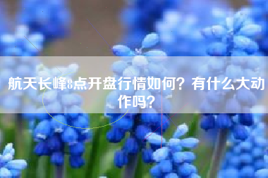 航天长峰8点开盘行情如何？有什么大动作吗？