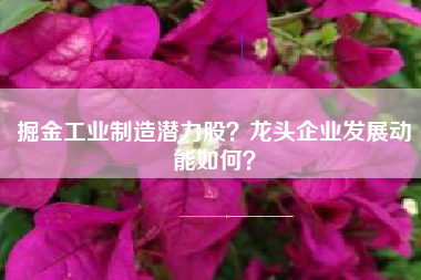 掘金工业制造潜力股？龙头企业发展动能如何？
