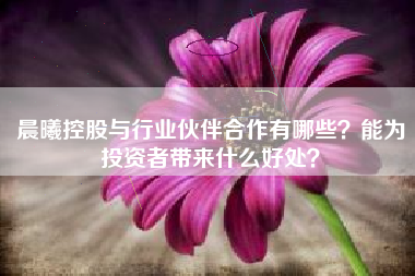 晨曦控股与行业伙伴合作有哪些？能为投资者带来什么好处？
