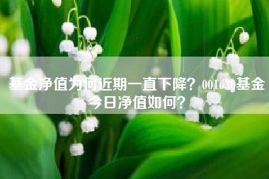 基金净值为何近期一直下降？001630基金今日净值如何？