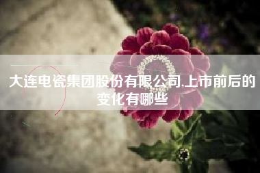 大连电瓷集团股份有限公司,上市前后的变化有哪些