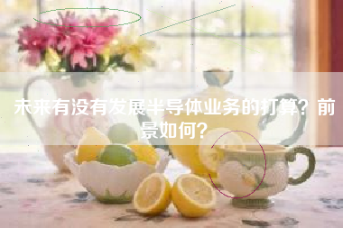 未来有没有发展半导体业务的打算？前景如何？