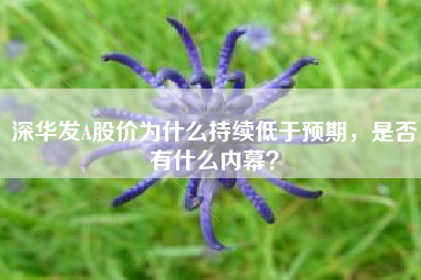 深华发A股价为什么持续低于预期，是否有什么内幕？