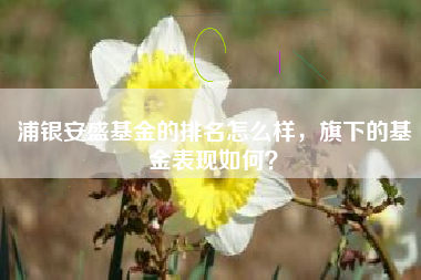 浦银安盛基金的排名怎么样，旗下的基金表现如何？