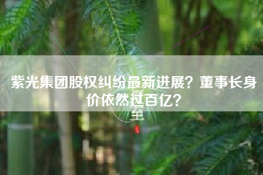 紫光集团股权纠纷最新进展？董事长身价依然过百亿？