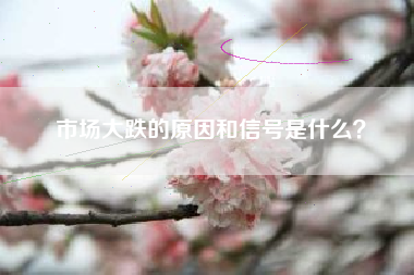 市场大跌的原因和信号是什么？