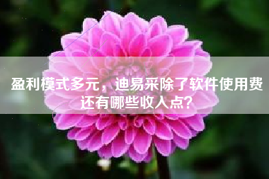盈利模式多元，迪易采除了软件使用费还有哪些收入点？