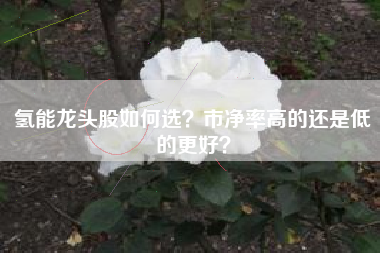 氢能龙头股如何选？市净率高的还是低的更好？