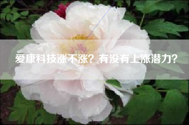 爱康科技涨不涨？有没有上涨潜力？