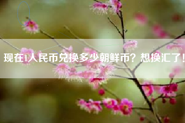 现在1人民币兑换多少朝鲜币？想换汇了！