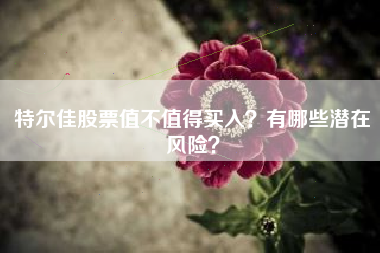 特尔佳股票值不值得买入？有哪些潜在风险？